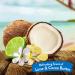 TropiClean Lime & Cocoa Butter Pet Conditioner 1 gal - Made in USA - Buy Online on GoSupps.com
