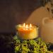 Buy Bluecorn Botanica Beeswax Candle - 3-Wick Pure Beeswax & Vanilla Scented Candle | International Shipping Available - Buy Online on GoSupps.com