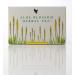 forever living aloe blossom herbal tea caffiene free tea