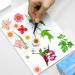 135 Pcs Natural Dried Pressed Flowers & Leaves Set for DIY Resin Jewelry, Candle, Nail Art - White Blue Pink Daisy Decoration - Buy Online on GoSupps.com