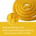 Leadership Knit with Panic Hooks for Horses - Stylish Binding Leash for Ponies Donkeys & Goats (Yellow) - Buy Online on GoSupps.com