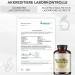 Bionutra Turmeric Barley Grass Capsules Bio - 270 Veg Capsules | Organic Vegan Gluten-Free Lactose-Free | German Quality 2-Month Supply - Buy Online on GoSupps.com