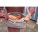 Shop Casual Baby Stroller Organizer Bag | Taupe Beige Shoulder Bag with Stroller Attachment - Buy Online on GoSupps.com