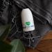 Siveno All Natural Deodorant Roll-On | Aluminum Free Deodorant for Men | Organic Vegan | Fresh Non Staining Non Irritating | Cruelty Free Non Toxic Paraben Free | Men Pack of 1 Men 1.76 Fl Oz (Pack of 1) - Buy Online on GoSupps.com