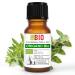 Oregano Oil Organic Essential Oil 100% Pure 5 ml - Aromatherapy Cosmetic Therapeutic - Laboratory Organic Oregano 5 ml (Pack of 1)