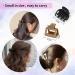 VRbeatter Small Square Hair Claw Clips 1.6 Inch - 8 Pack Neutral Color Hair Accessories for Thin Hair - Matte Non-slip Design for Women and Girls - Buy Online on GoSupps.com