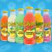 Calypso - Triple Melon Lemonade - 12 x 473 ml - Buy Online on GoSupps.com