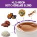 Om Mushrooms Hot Chocolate Blend | 10 Packets | Mushroom-Powered Drink Mix - Buy Online on GoSupps.com