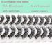 Losha Lashes D Curl Russian Strip Lashes | Fluffy False Eyelashes 10 Pairs Pack with Clear Band | DT01 - Buy Online on GoSupps.com