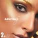 Anesthesia Colored Contact Lenses - Addict Gray (-2.50 Diopter) | Monthly Strongly Covering Lenses for Dark Eyes | Natural Look | 6-Month Wear - Buy Online on GoSupps.com