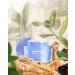Then I Met You Renewing Rich Beauty Cream - Ginseng + Squalane Moisturizer - Vegan Clean Skincare - Buy Online on GoSupps.com