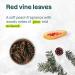 ATTITUDE Plastic-Free Deodorant EWG Verified Aluminum Free Vegan Naturally Sourced Body Deodorants for Women & Men Dermatologically Tested Vine Leaves and Pomegranate 3 Ounces (Pack of 6) Vine Leaves & Pomegranate 3 Ounce (Pack of 6) - Buy Online on GoSupps.com