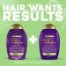 OGX Thick & Full + Biotin & Collagen Extra Strength Volumizing Shampoo with Vitamin B7 & Hydrolyzed Wheat Protein for Fine Hair. Sulfate-Free Surfactants for Thicker Fuller Hair 13 Fl Oz - Buy Online on GoSupps.com