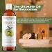 Olive Oil Extra Virgin 2 fl. oz. 100% Pure & Natural Unrefined Carrier Oil - Cold Pressed Nourishing for Skin and Hair Care Rich Flavor for Cooking and Beauty Routine - Buy Online on GoSupps.com