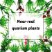 QUOZUO 20 Pieces Aquarium Artificial Plants - Green Plastic Decorations & Resin Cave Accessories for Fish Tanks - Buy Online on GoSupps.com