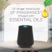 Air Wick Essential Mist Twin Refill - Fresh Pine & Juniper | 2 Refills | International Shipping Available - Buy Online on GoSupps.com