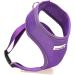 Doodlebone Airmesh Harness Violet 4 - Lightweight and Comfortable Dog Harness - Buy Online on GoSupps.com