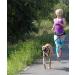 DINGO Canicross Belt 4-in-1 | Universal Adjustable Hands-Free Dog Walking Belt | Reflective Multifunctional | Running Sports Jogging Training | Black Waist Belt (12780-2) - Buy Online on GoSupps.com