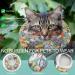 Buy Tokseo Adjustable Soft Crane Cat Collar - Anti-Bite for Cats & Small Dogs | Post-Surgery & Injury Recovery - Buy Online on GoSupps.com