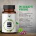 M.A.S. True Balance OPC Grape Seed Extract - 700mg Pure OPC | 365 Vegan Capsules | Premium Quality | Made in Germany - Buy Online on GoSupps.com