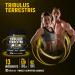 Tribulus Terrestris 13-in-1 Supplement 16000mg with Maca, Horny Goat Weed, Panax Ginseng - Energy & Stamina Boost for Men & Women | 120 Capsules - Buy Online on GoSupps.com