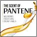 Pantene Argan Oil Shampoo & Conditioner Bundle Pack - 25.4 OZ & 24 OZ for Dry Hair - Smooth and Sleek Formula - Packaging May Vary - Buy Online on GoSupps.com