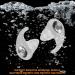Noise Cancelling Ear Plugs for Sleeping | NNR 38dB Reusable Foam Earplugs | Washable Sleep & Hearing Protector for Work Travel Study Concerts Construction (Gray - Buy Online on GoSupps.com