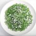 Beadsland 1440 Flat Back Rhinestones - Light Green SS6 Nail Crystals for DIY Nail Art - Buy Online on GoSupps.com