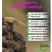 Love Wildlife Tadpole Food Twin Pack 2 x 80g Newts Frogs Toads - Buy Online on GoSupps.com