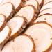 Fuyit Natural Wood Slices 30 Pcs - 2.4-2.8 Inches Craft Kit for Christmas Ornaments and DIY Crafts - Buy Online on GoSupps.com