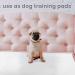 Inspire Super and Ultra Absorbent Disposable Bed Pads (23" X 36" Reusable 3 Pack) - Buy Online on GoSupps.com
