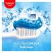 COLGATE - Colgate Max Fresh Crystal Toothpaste - Fresh Breath Toothpaste - Recyclable Tube - Pack of 12 75mL Toothpaste Tubes - Buy Online on GoSupps.com
