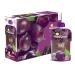 Happy Baby Organics Clearly Crafted Stage 1 Baby Food Prunes 3.5 Ounce Pouch (Pack of 8)