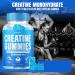 Buy Creatine Gummies - 5g Creatine Monohydrate for Strength & Endurance | 60 Micronized Gummies for Men & Women - International Shipping Available - Buy Online on GoSupps.com