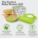 Bimba Bambino Baby Weaning Set - Bamboo Suction Plate, Bowl, 2 Spoons, Silicone Bib | Non-Toxic, Natural Bamboo, Green - Buy Online on GoSupps.com