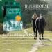 Bulkhorse Turmeric & Black Pepper - 100% Natural Joint & Digestion Support No Added Sugar 3000g (3kg) - Buy Now! - Buy Online on GoSupps.com