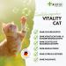 4-Legged Vitality Cat Supplement - 11 Essential Vitamins Omega 3 & 6 Multivitamin Powder for Optimal Cat Health - Buy Online on GoSupps.com