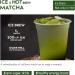 CAPACITEA Matcha Green Tea Powder Large 160g Premium Grade For Hot & Cold Brew Unsweetened For Baking and foamy latte - Buy Online on GoSupps.com