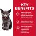 Hill's Science Diet Dry Cat Food Kitten Indoor Chicken Recipe 7 lb - Pack of 1 | White - Buy Online on GoSupps.com