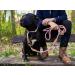 Leitengr n Big Dog Leash - 3M Adjustable with 2 Carabiners | Devon Model | Rosa Palish | Lightweight & Durable - Ideal for Large Dogs - Buy Online on GoSupps.com