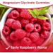 Magnesium Glycinate Gummies 500mg | Relaxation Calm Magnesium Gummies | Sugar-Free | Non-GMO | Gluten-Free | Vegan-Friendly for Adults & Kids (60 Raspberry Gummies) - Buy Online on GoSupps.com