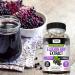 Kaya Naturals Elderberry Immune Support - Elderberry Extract Rich Antioxidant Premium Vitamins 1200mg Immune System Booster Sambucus Capsules - 30 Count 30 Count (Pack of 1) - Buy Online on GoSupps.com