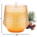 Pine & Clove Scented Candles | Luxury Soy Aromatherapy | Perfect Gifts for Home & Loved Ones - Buy Online on GoSupps.com