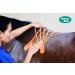 Buy Vetkin Vetkintape Kinesiology Tape for Animals - 6cm*5m | Kinesiotape for Horses & Dogs | Latex-free T V-certified 25% Stronger Adhesive - Buy Online on GoSupps.com