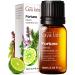 Gya Labs Fortune Essential Oil Blend - Uplifting & Inviting (0.34 Fl Oz)