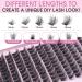 180PCS Wispy 3D Cluster Lashes - Fluffy Volume Faux Mink Eyelash Extensions (8-16mm Mixed - Buy Online on GoSupps.com