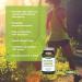 Flora Health Flor-Antacid - For the Relief of Occasional Heartburn and Upset Stomach Associated with Acid Indigestion and Excess Stomach Acid - Real Peppermint Oil Flavoured - 90 Chewable Tablets - Buy Online on GoSupps.com