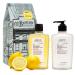 C.O. Bigelow Apothecary Duo Lemon Body Care Gift Box with Body Soap & Lotion Gift Set of Two - Moisturizing Lotion & Liquid Hand Wash for Dry Skin - 10fl oz Each