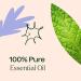 Plant Therapy Respir Aid Essential Oil Blend Pre-Diluted Roll-On 10 mL (1/3 oz) 100% Pure Essential Oils Aromatherapy Sinus Relief Congestion Relief - Buy Online on GoSupps.com