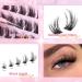 Cat Eye Lash Clusters | Wispy & Fluffy Eyelash Extensions C Curl - Winifred (10-18mm) | Natural Look | International Shipping - Buy Online on GoSupps.com